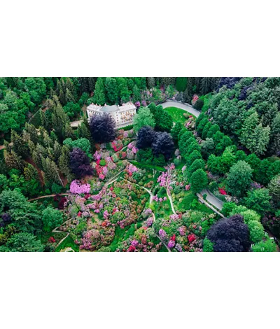 6 locations from north to south where you can go forest bathing and rediscover yourself