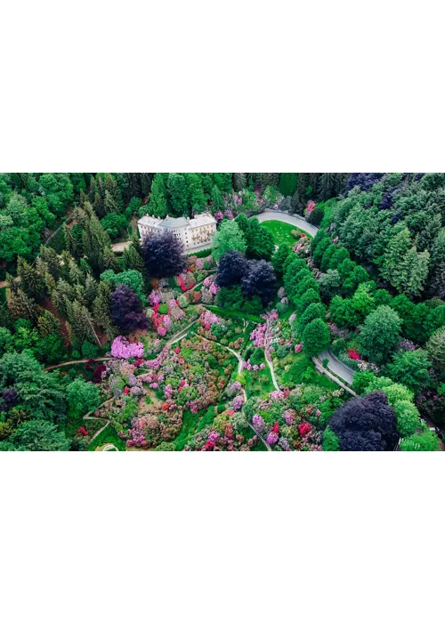 6 localidades de norte a sur donde hacer «forest bathing» y encontrarnos a nosotros mismos