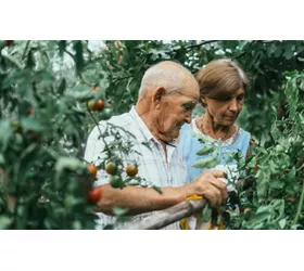 green agritourisms  in campania