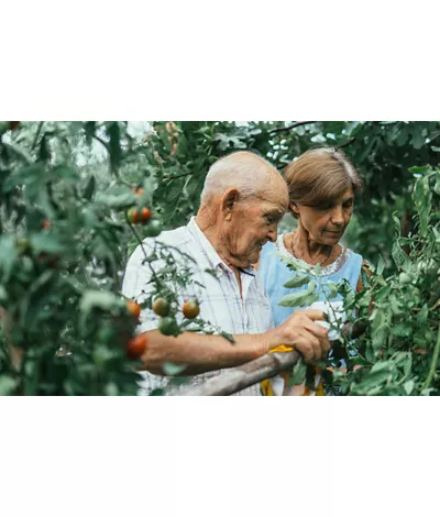 green agritourisms  in campania