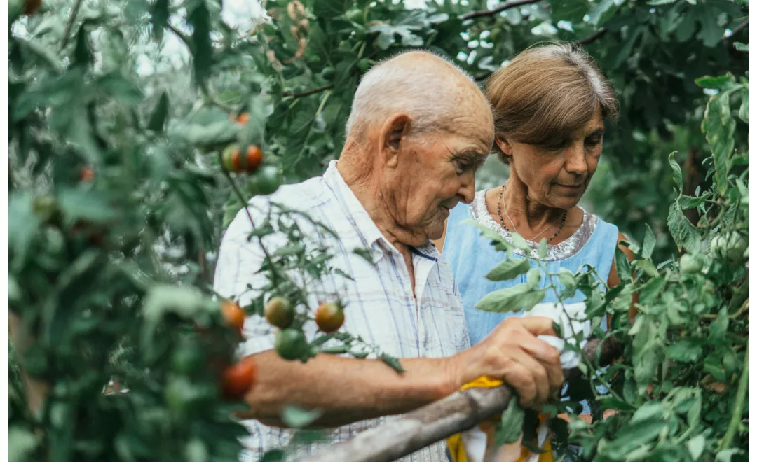 green agritourisms  in campania