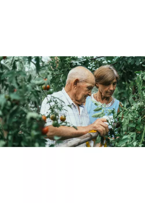 green agritourisms  in campania