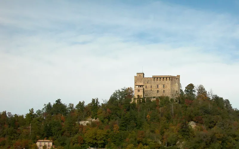 De la prehistoria al «tarzaning»