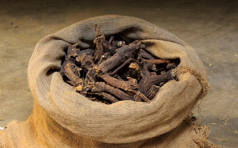 Liqueur à la gentiane