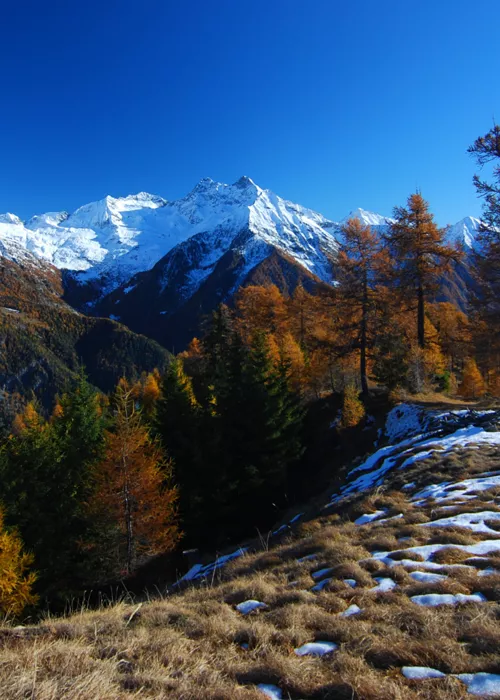 The Ayas Valley all year round, from castles to alpine sports