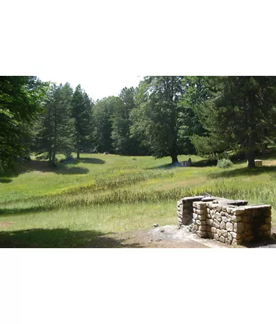 CAI Calabria Trail: Zagarise - Petronà