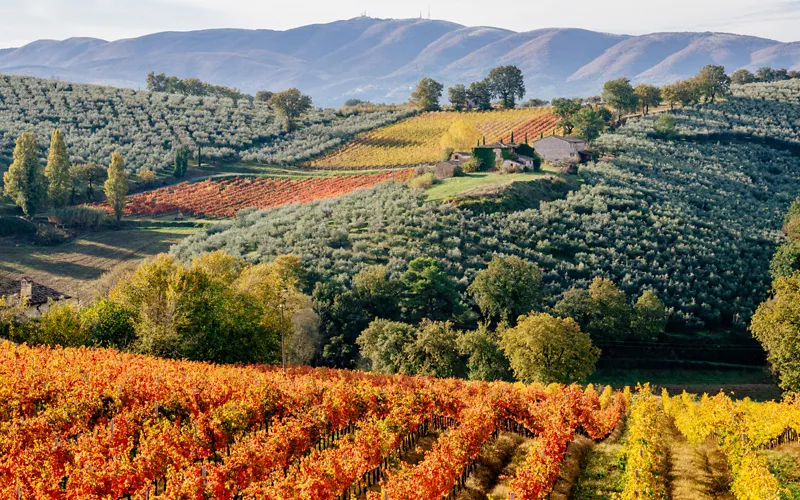 cantine aperte san martino in umbria