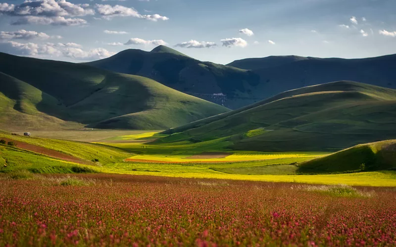 In Castelluccio di Norcia, flying over acres of blooming meadows