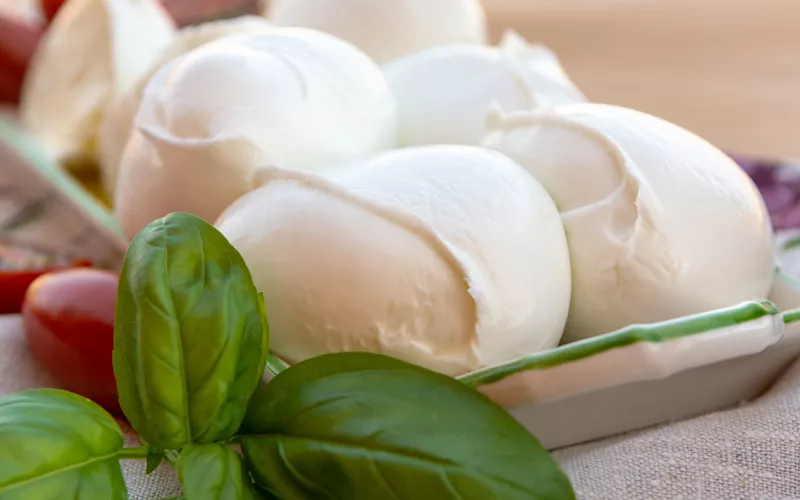 En la mesa, mozzarella de búfala y aceitunas de Gaeta 