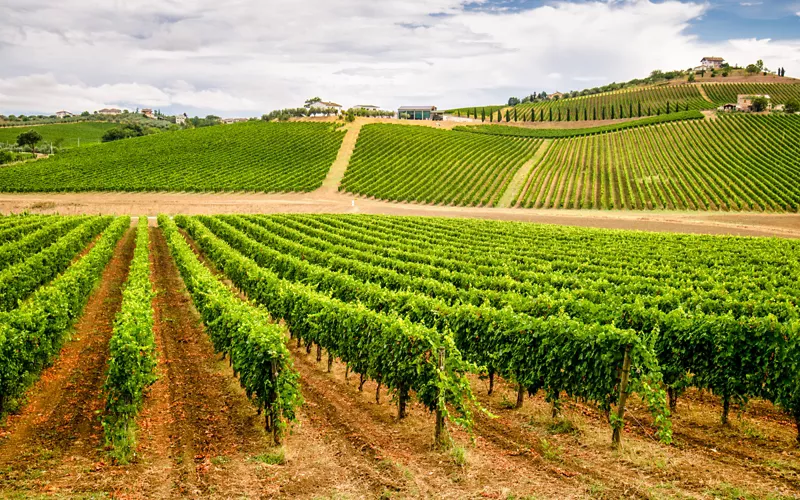 A tour of Abruzzo in a glass. The native denominations