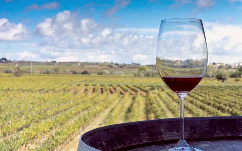 Dazu passt: Cerasuolo d'Abruzzo DOC