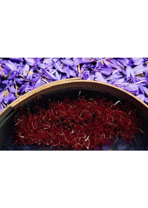 Abruzzen, eine Schatzkammer der Aromen und des Wissens von den Bergen bis zum Meer