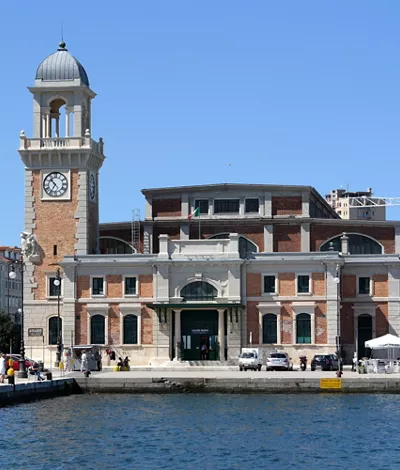 Observing Adriatic fauna and local amphibian species at The Civic Marine Aquarium of Trieste