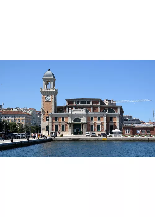 À l’Aquarium municipal de Trieste, au milieu des espèces marines et amphibiennes locales