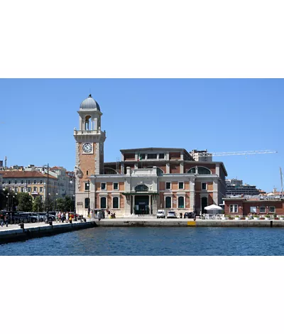 All’Aquario civico di Trieste, tra specie marine e anfibi locali 