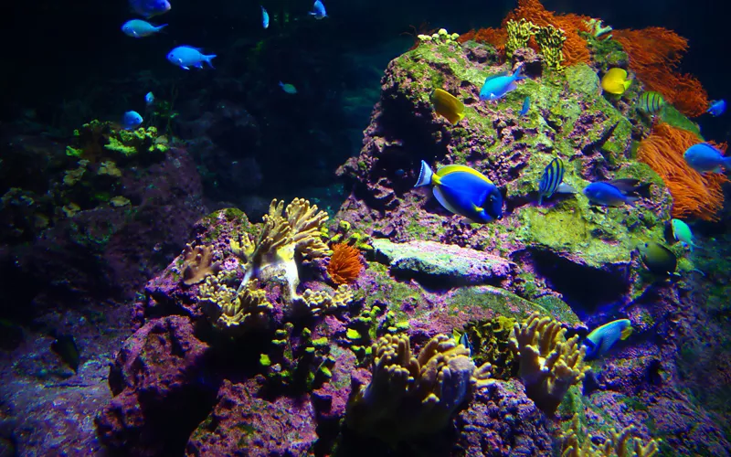 Aquarium of genoa tropical forest adventure