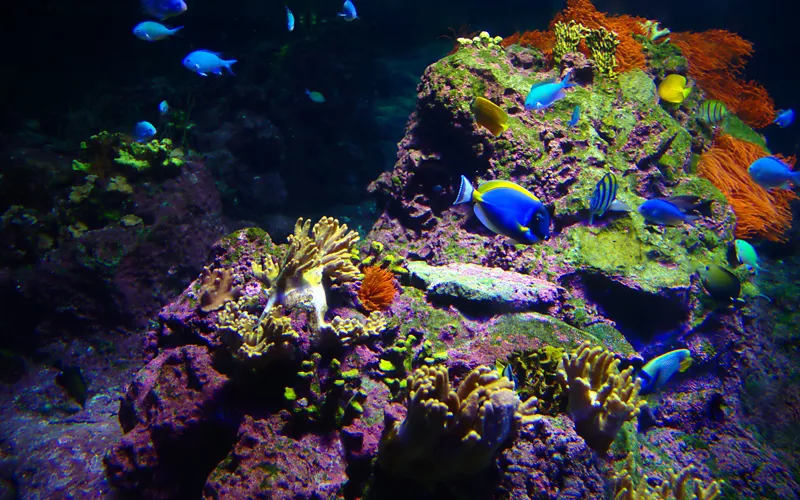 Acquario di genova avventura foresta tropicale