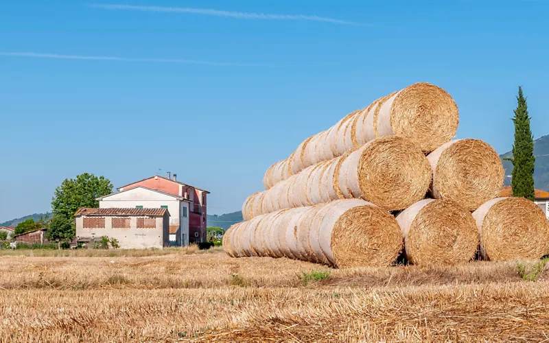 adottare un’azienda agricola