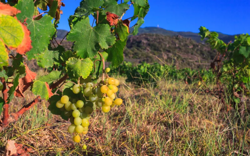 alberobello patrimonio unesco