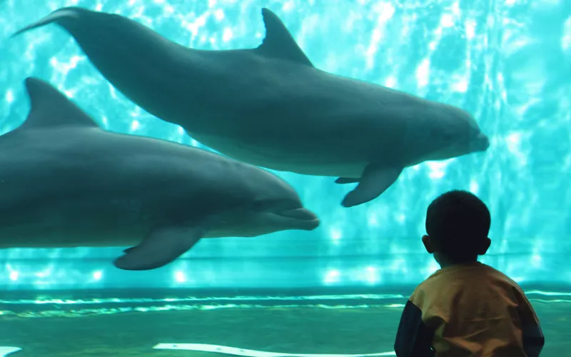 À la découverte de l'Aquarium de Gênes à Pâques