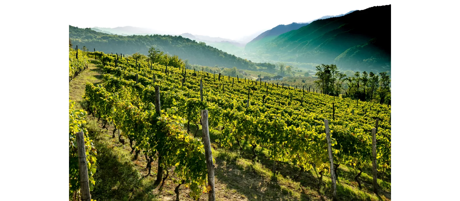 Die Alta Langa: Land des Geschmacks und unberührter Landschaften