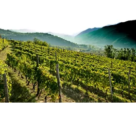 L’Alta Langa: territorio di sapori e scenari inediti