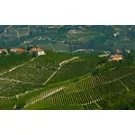 Hillside cycling in Upper Monferrato