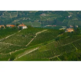 Pedaleando por las laderas del Alto Monferrato