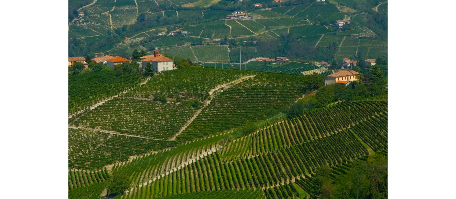 Hillside cycling in Upper Monferrato