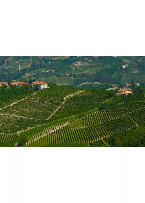 Hillside cycling in Upper Monferrato