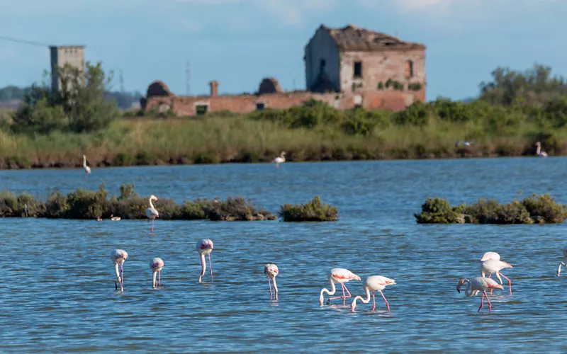 Ein geschütztes Umfeld