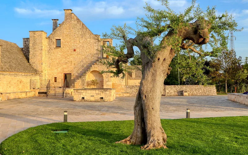 Auf Entdeckungsreise zu den antiken Bauernhöfen