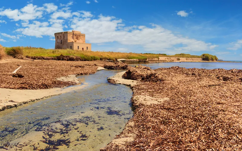 The Torre Guaceto Marine Protected Area