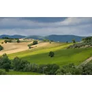 Arte e natura tra Spello a Spoleto
