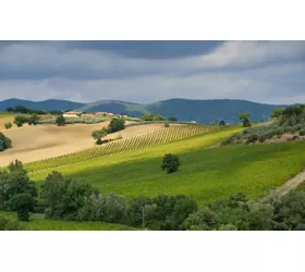 Arte e natura tra Spello a Spoleto