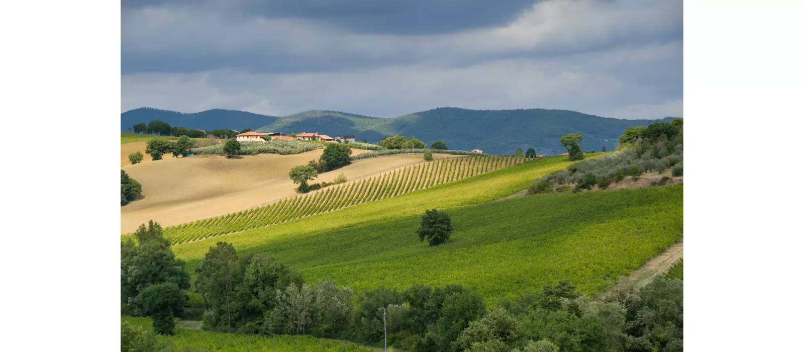 Arte e natura tra Spello a Spoleto