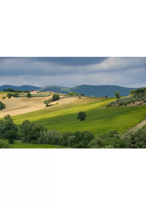 Arte e natura tra Spello a Spoleto