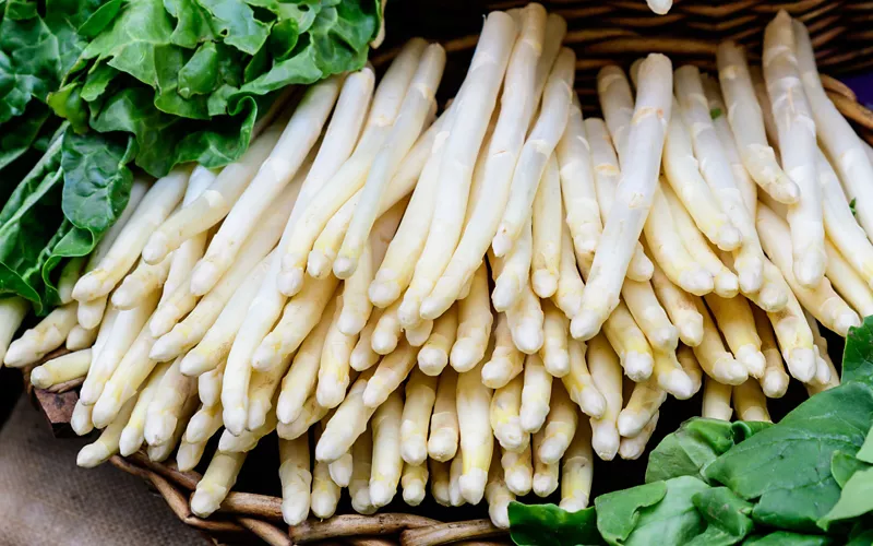 Quelle est la période de l'asperge blanche de Cimadolmo