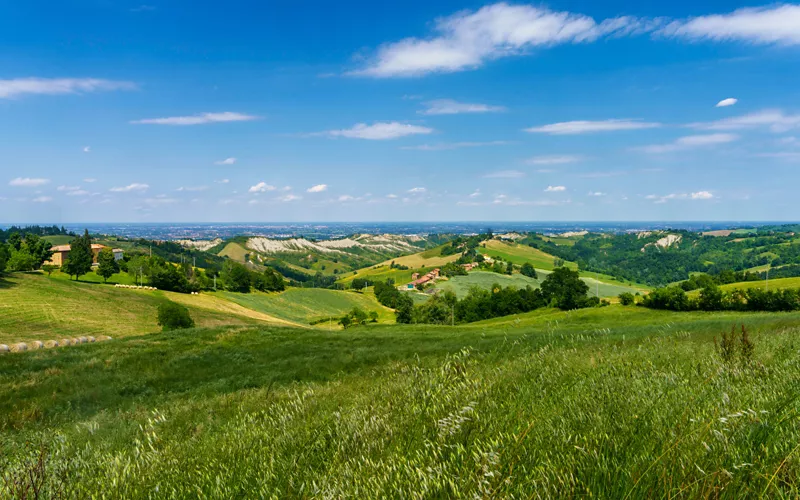 colline verdi 