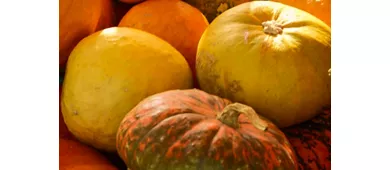 autumnia
