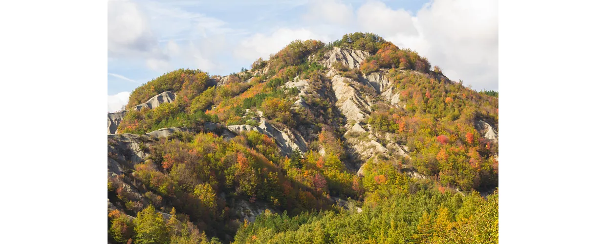 balze monte fumaiolo