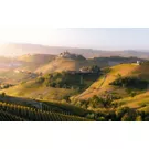 Su Majestad de las Langhe: el «barolo» en Vespa