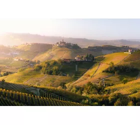 Sua Maestà delle Langhe: il Barolo in Vespa