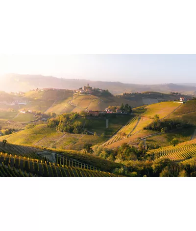 His Majesty of the Langhe: Barolo on a Vespa