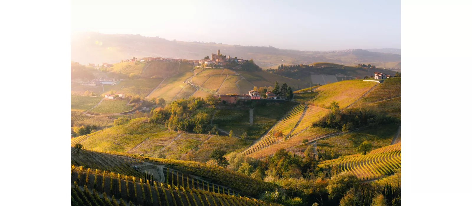 Su Majestad de las Langhe: el «barolo» en Vespa