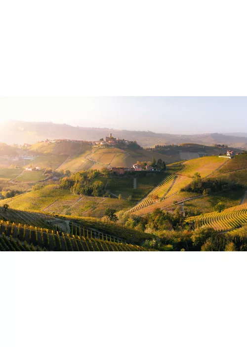 His Majesty of the Langhe: Barolo on a Vespa