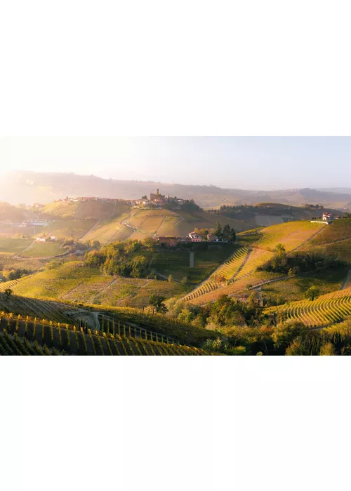 Su Majestad de las Langhe: el «barolo» en Vespa