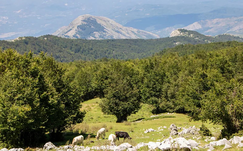 Naturaleza sorprendente entre las cumbres del Buitre y los Apeninos.