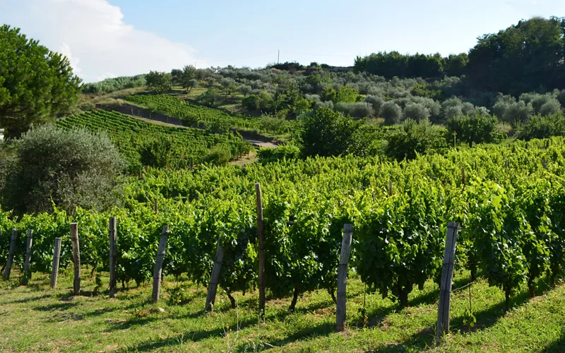 A tour of Italy in a glass