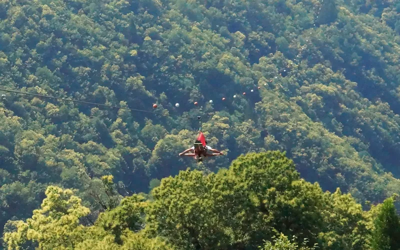 Verschiedene Linien: Einzel- oder Paarflug